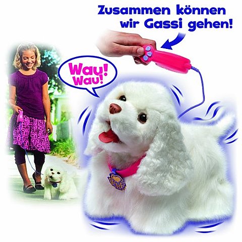 Mi primer perro a control remoto