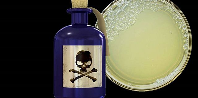 EDAD DE BRONCE-Papiro de Ebers