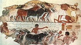 Timeline: Historia de la Medicina Veterinaria y Zootecnia