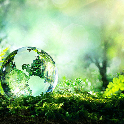 Timeline: DIMENSIÓN AMBIENTAL GLOBAL