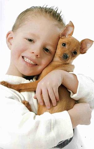 The Day I Got My Dog, Macho