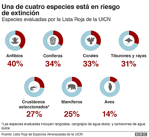 Extinción de especies y pérdida de biodiversidad