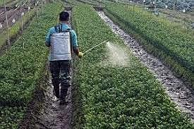 Aparición de fungicidas