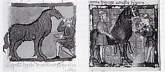 Veterinarios Militares en España