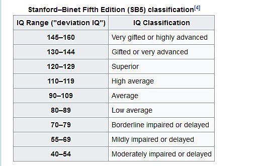 The First Gifted Test was Introduced