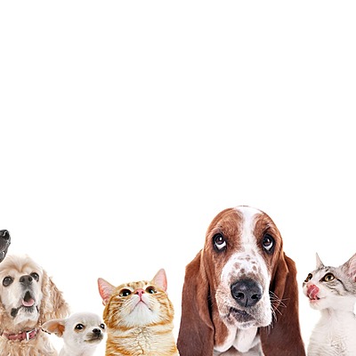 Timeline: Evidencia_01_E1