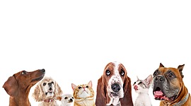 Timeline: Evidencia_01_E1