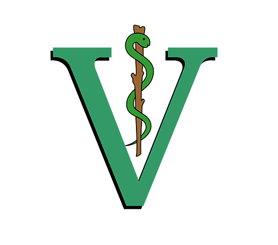 Decreto de la primera escuela MEX.