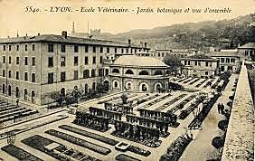 Protoalbeytar sistema de acreditación veterinaria