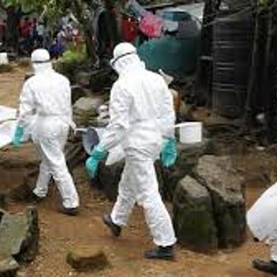 Timeline: Pandemias desde los primeros años del mundo hasta nuestro siglo