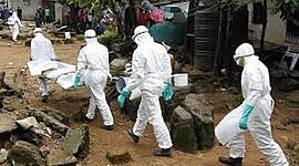 Timeline: Pandemias desde los primeros años del mundo hasta nuestro siglo