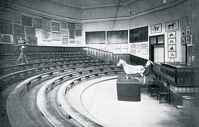 Primera Escuela de Veterinaria