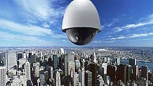 La operación Fox Hunt