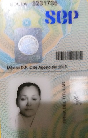 Mi pase para ejercer mi profesión.