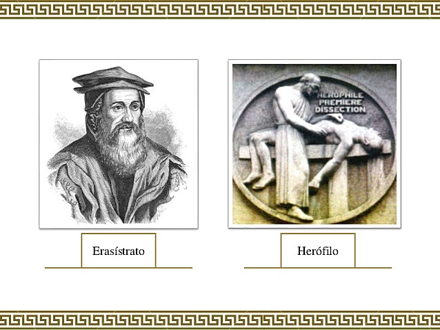 Herófilo y Erasístrato