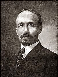 Divisão do reino protista