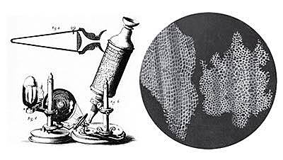 Robert Hooke