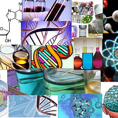 Timeline: Historia de la Toxicología