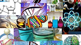 Timeline: Historia de la Toxicología