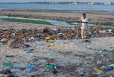 2008 Calentamiento Global