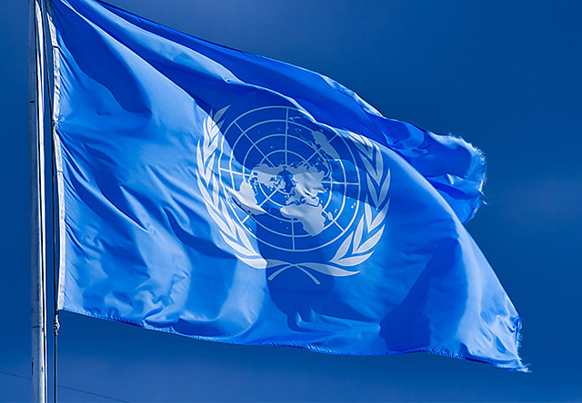 Carta de las Naciones Unidas y Organización de las Naciones Unidas