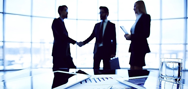 Perfiles Profesionales.