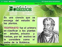 Vive el padre de la Botánica, Teofrasto (Theophrastus de Eresus)