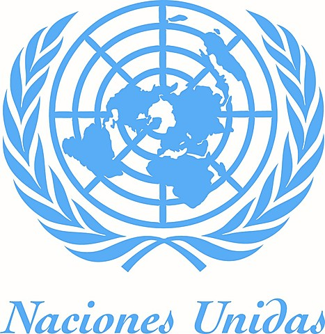Investigación de Las Naciones Unidas