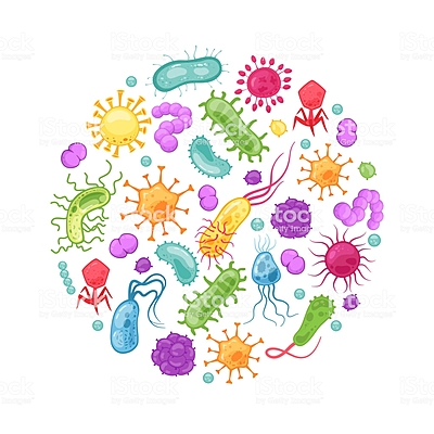 Timeline: Historia de la epidemiología.