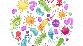 Timeline: Historia de la epidemiología.