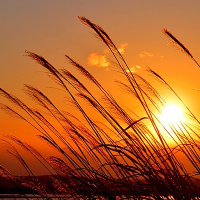 Timeline: origen de la vida y del universo