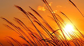 Timeline: origen de la vida y del universo