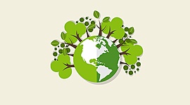 Timeline: Evolución histórica de la Educación Ambiental