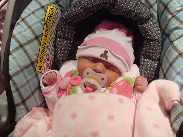 Babies and Cameras, Round 2