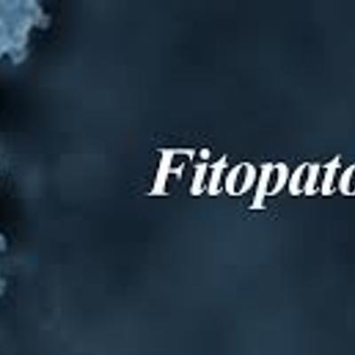 Timeline: Historia de Fitopatologia