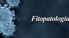 Timeline: Historia de Fitopatologia