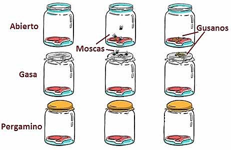 Louis pasteur combatió la generación espontanea