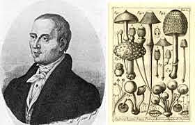 MICHELLI- INVESTIGACIÓN POR EXPERIMENTO- 1.729