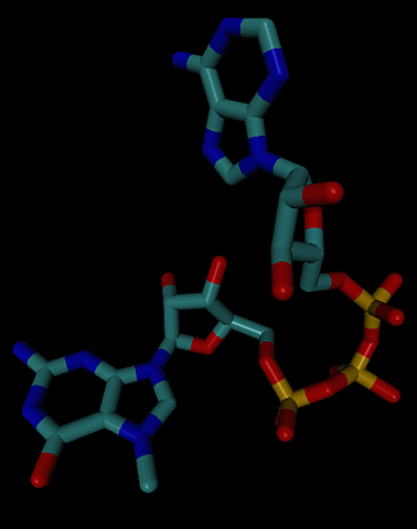 Alexander Rich, Carle Woese, Leslie Orgel, Francis Cick propusieron la existencia de un primer mundo basado en ARN