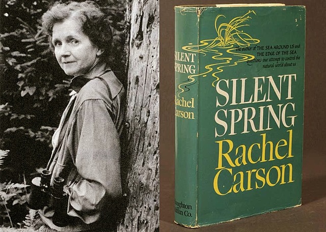 publicación de silent spring, por rachel carson