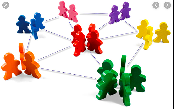 Periodo de socialización