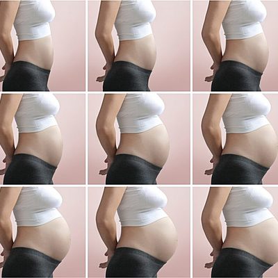 Timeline: Desarrollo prenatal, mes por mes.