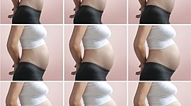 Timeline: Desarrollo prenatal, mes por mes.