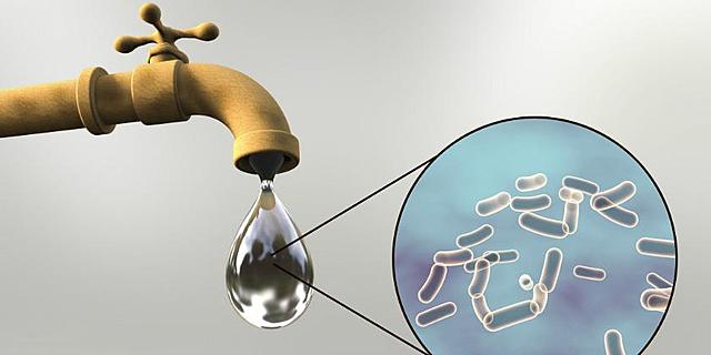 Transmisión de la fiebre tifoidea.