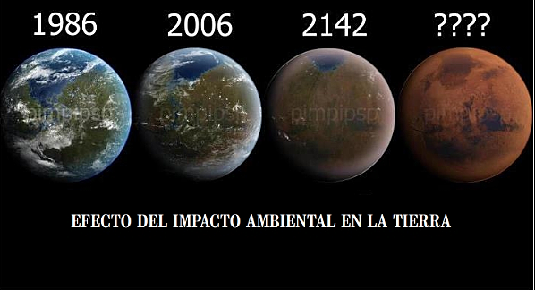 IMPACTO EN EL ECOSISTEMA