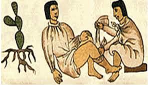 Aportes del valle del Nilo