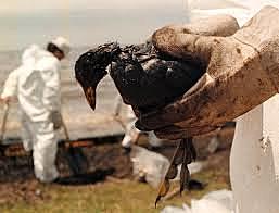 Derramamiento de petroleo