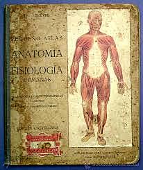 Anatomía y fisiología