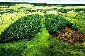 Preocupacion del medio ambiente.