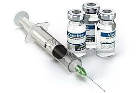 Edward Jenner la primera vacuna